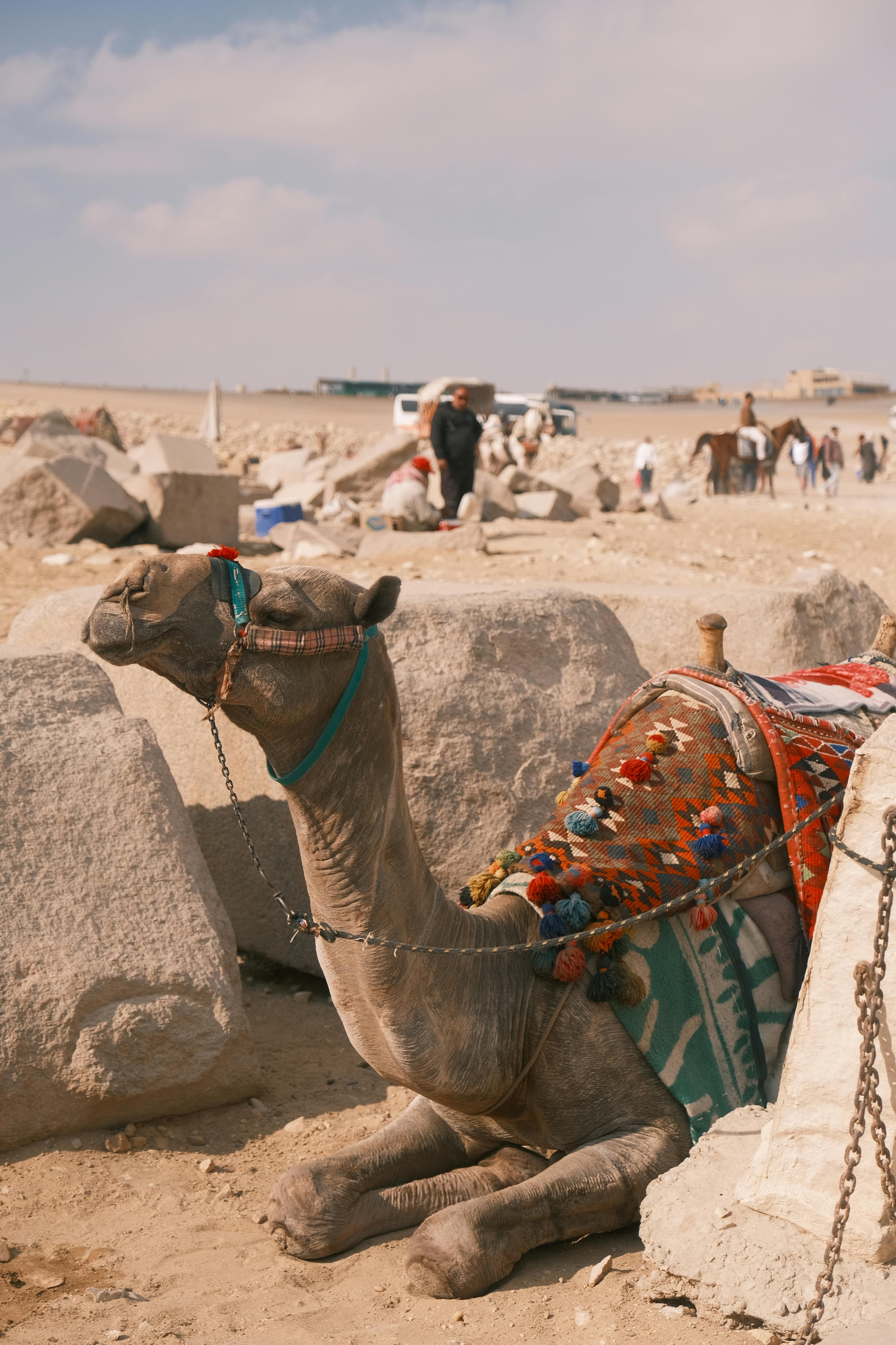 Full-Day Tour: Giza Pyramids, Memphis City, and Saqqara Pyramid - image 3